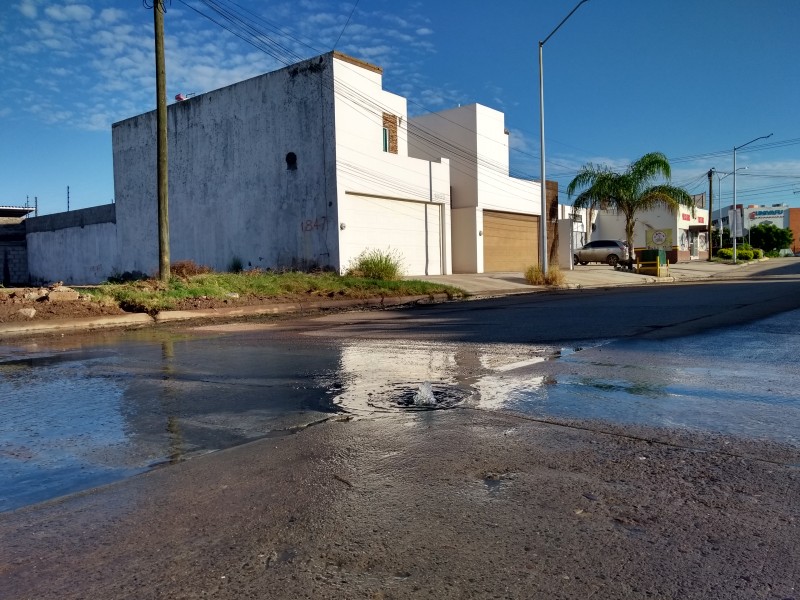 Llegarán 10 vactor para atender aguas negras: JAPAMA