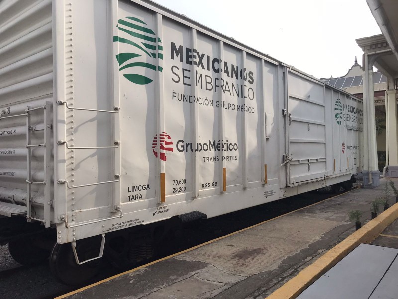 Llegó el Vagón Verde, Tren de la Ecología a Veracruz