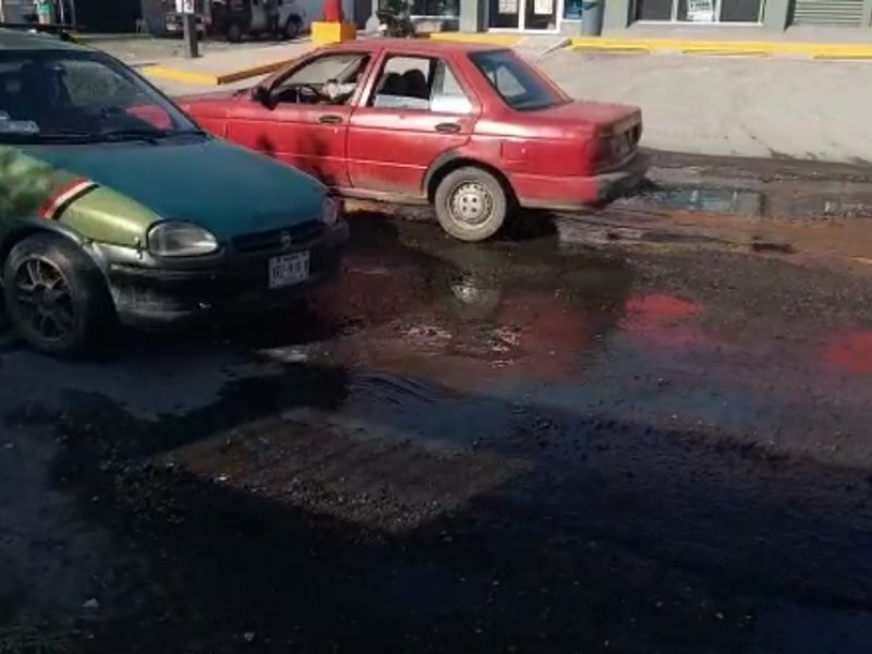 Llena de hoyos y baches luce la calle Madre Selva