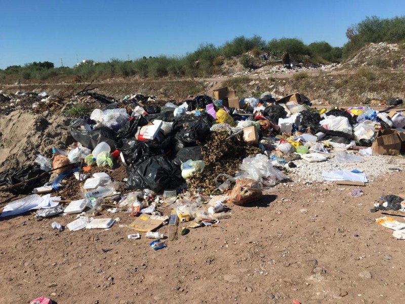 Llenos de basura lucen drenes y canales de Los Mochis