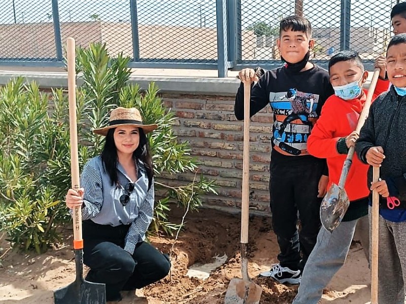 Lleva Ecología reforestación a primaria Nueva Creación