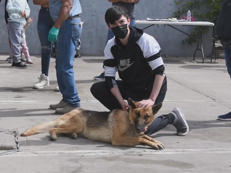 LLevan jornada de esterilización de mascotas a la San Miguel