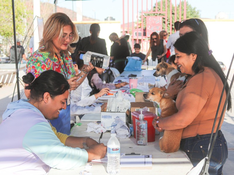 Llevan Jornada Integral a familias de sector Las Colinas