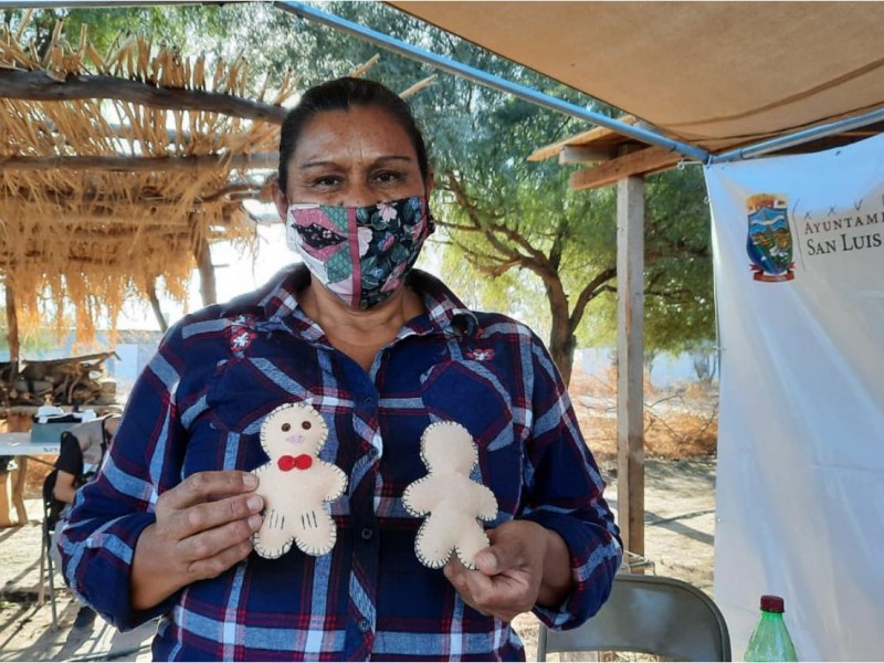 Llevarán cursos al Valle y Golfo de Santa Clara