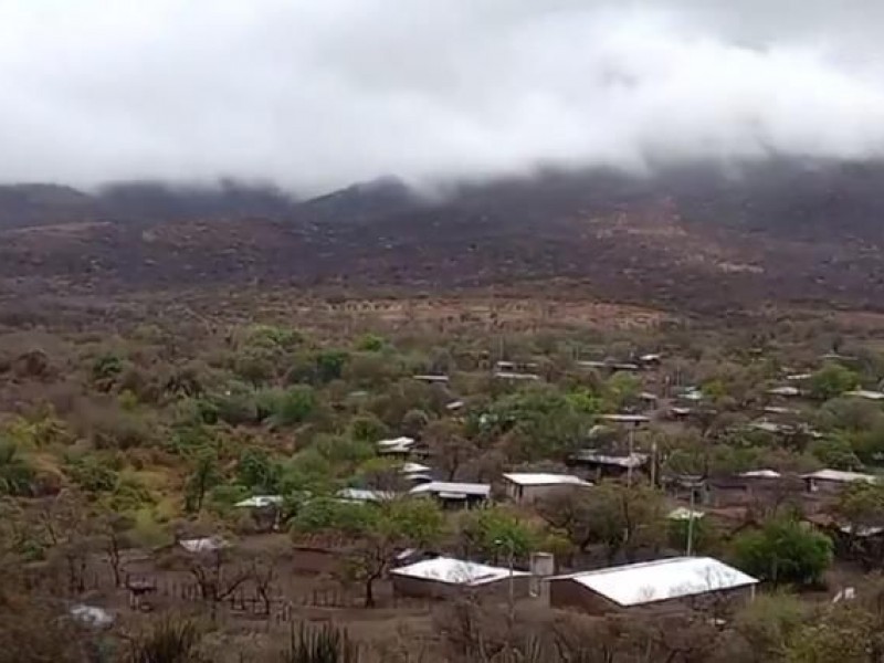 Llueve en Coahuayutla; campesinos podrán alimentar al ganado