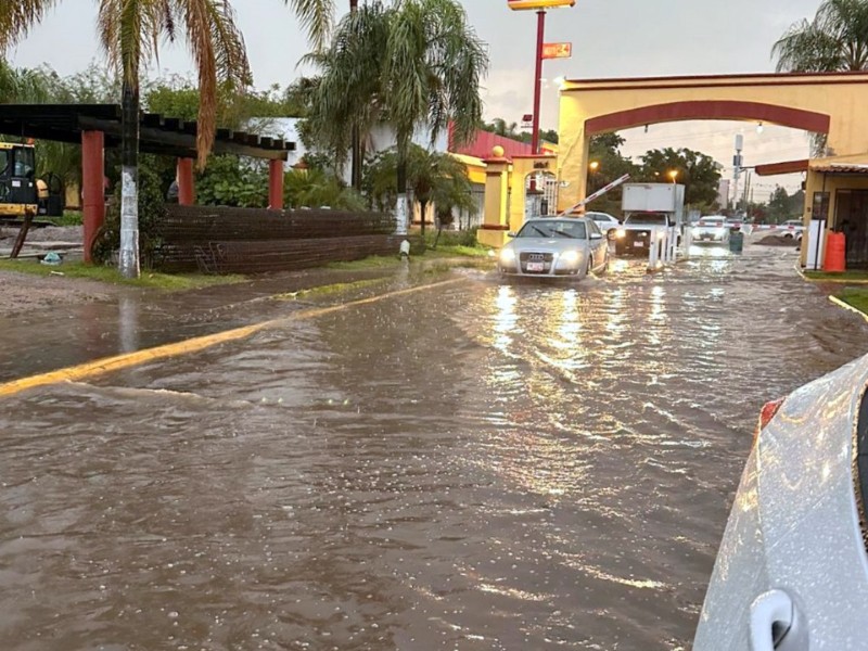 Lluvia de árboles caídos e inundaciones en ZMG