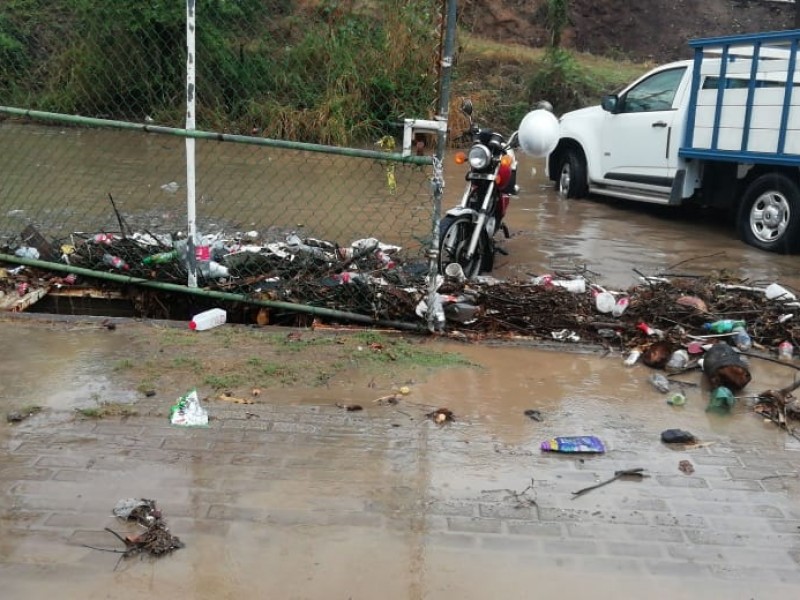 Lluvia deja encharcamientos, deslaves, hundimientos y árbol caído