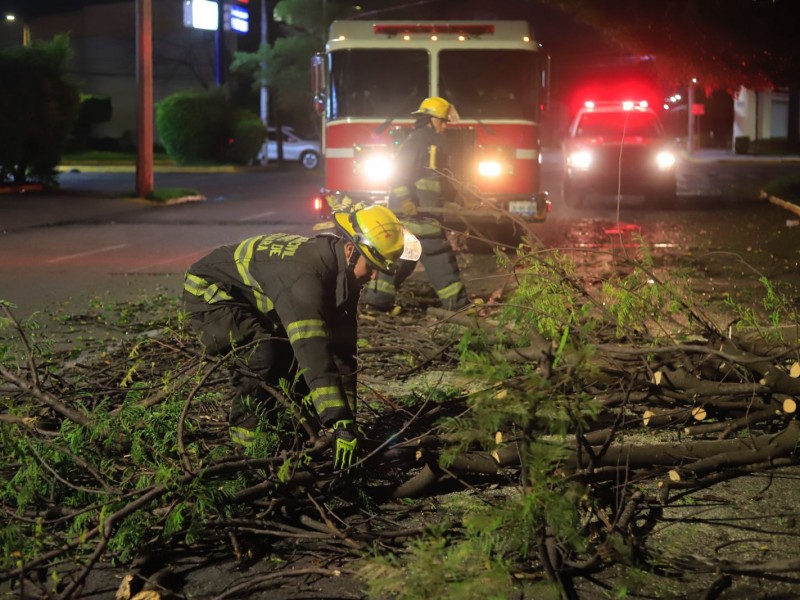 Lluvia deja vehículo varado y árboles caídos en ZMG