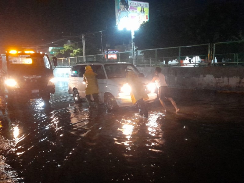 Lluvia derriba ocho árboles en Zapopan