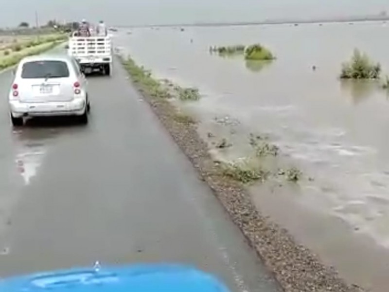 Lluvia en el Valle del Yaqui dejará beneficios al suelo