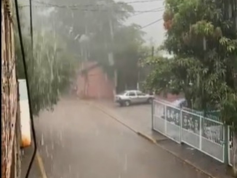 Lluvia en la sierra, recupera arroyos y pasto para ganado