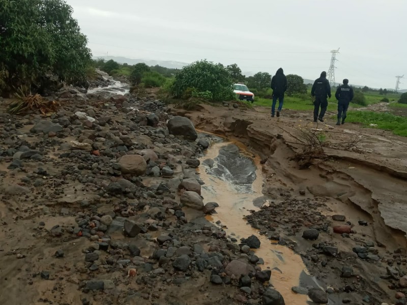 Lluvia en Palmar del Bravo deja afectaciones en cultivos