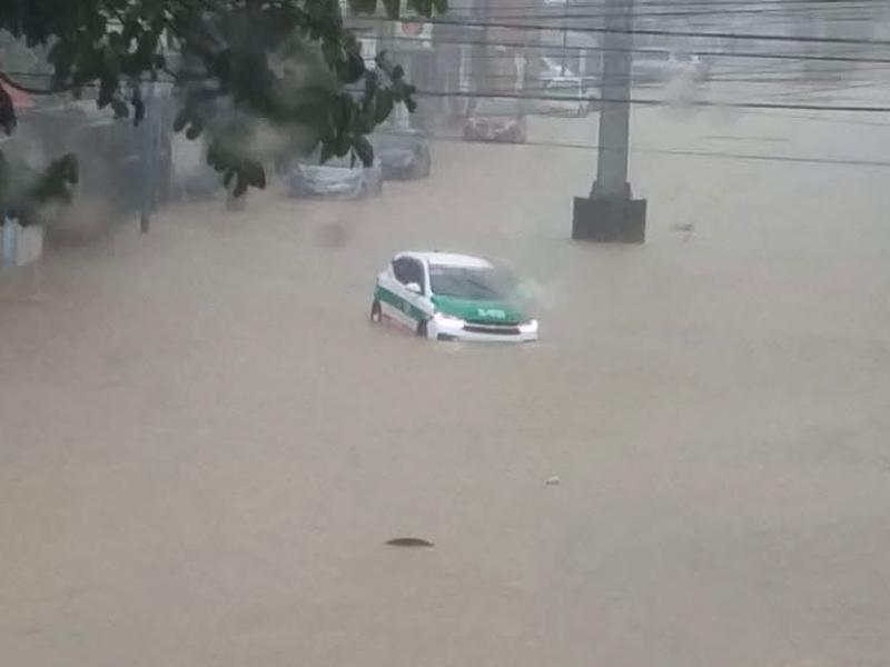 Lluvia intensa provoca inundaciones y caída de árboles en Xalapa