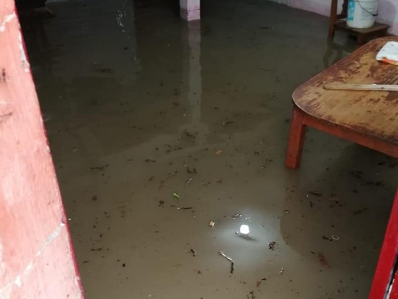 Lluvia colapsa drenaje e inunda viviendas en San Cristóbal