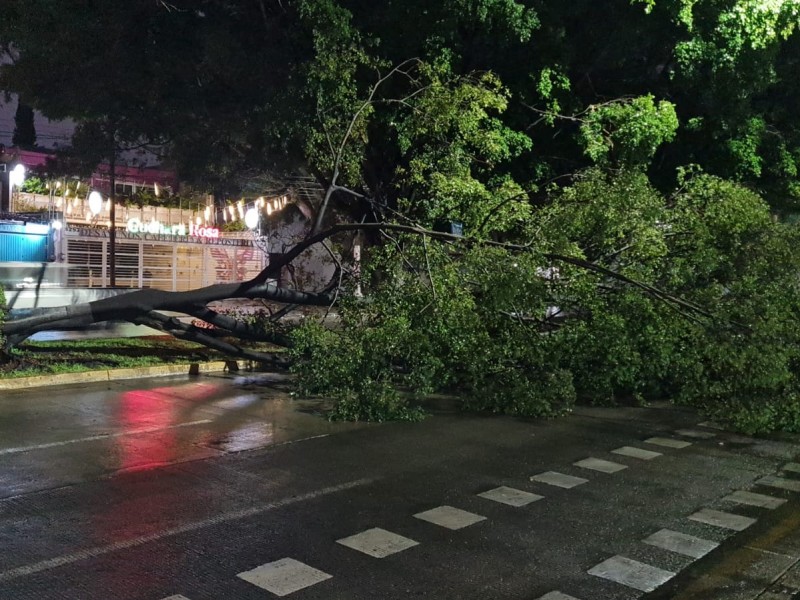 Lluvia nocturna deja inundaciones en vía pública en Zapopan