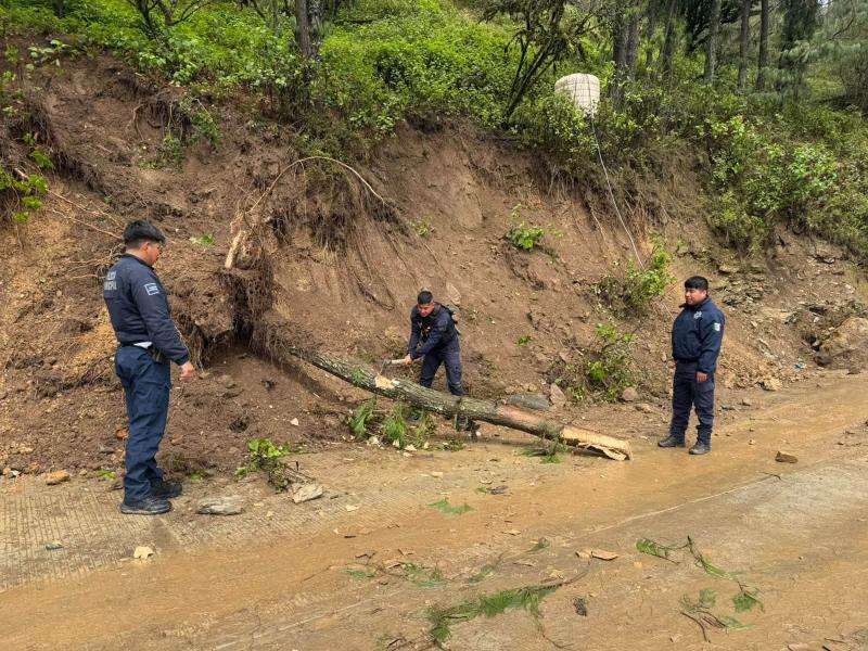 Lluvia y baja temperatura se registra en comunidades de la Sierra Negra