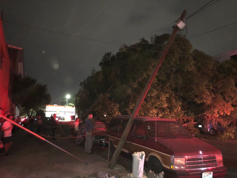 Lluvia y vientos derriban árboles en la ZMG