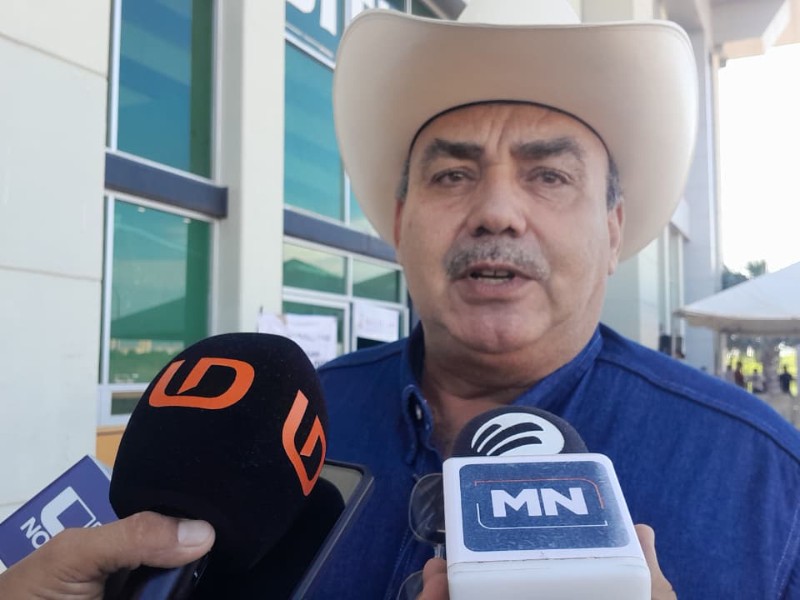 Lluvias benefician a la ganadería en la Zona Rural de Mazatlán