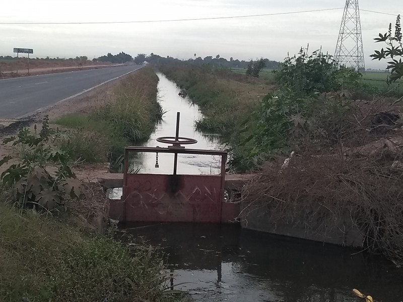 Lluvias beneficiaron a los productores de maíz