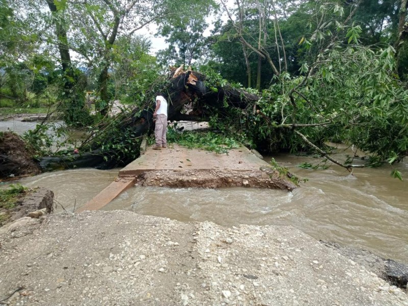 Lluvias colapsan puente en Palenque
