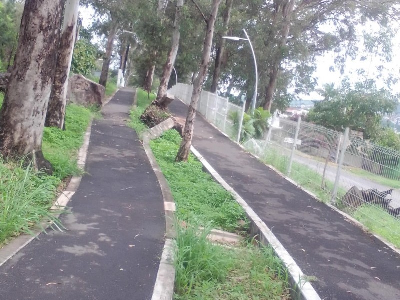 Lluvias continuas dañan parques en Tepic