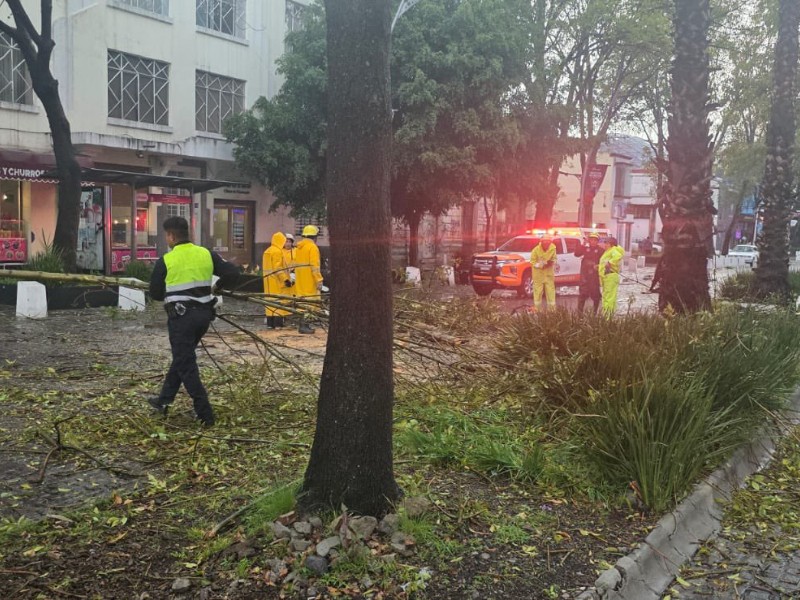 Lluvias de esta tarde dejan afectaciones