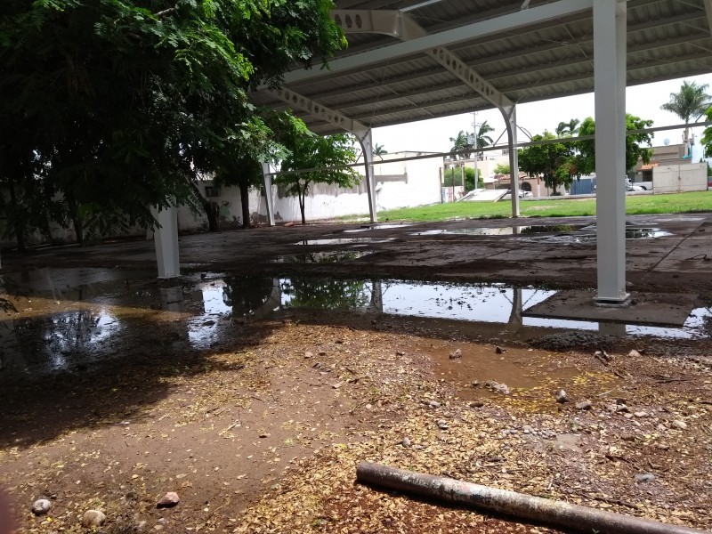 Lluvias de este viernes provocan ausentismo en escuelas de Ahome