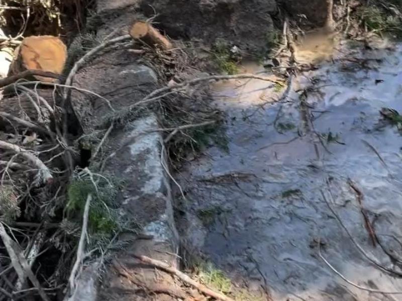 Lluvias dejan comunidades incomunicadas y dañan producción de trucha