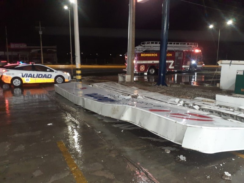 Lluvias dejan encharcamientos y árboles caídos en Torreón