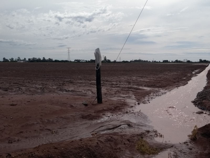 Lluvias dejan fuertes daños en el sector agrícola