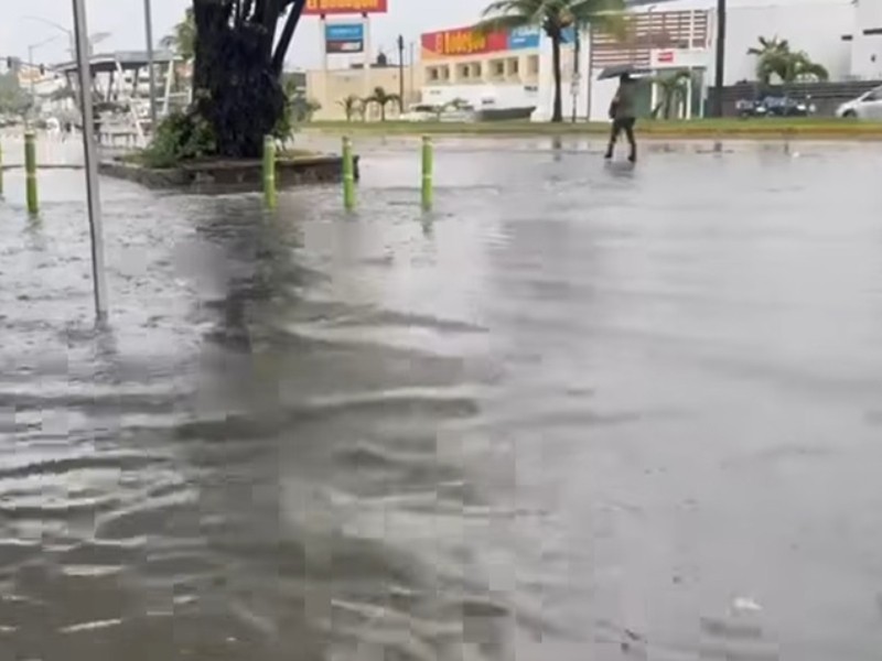 Lluvias dejan grandes encharcamiento y árboles derribados en Manzanillo