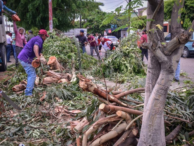 Lluvias dejan más de 4.2 toneladas de basura