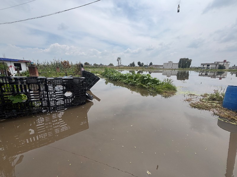 Lluvias dejan más de 50 casas inundadas en la Constitución Totoltepec