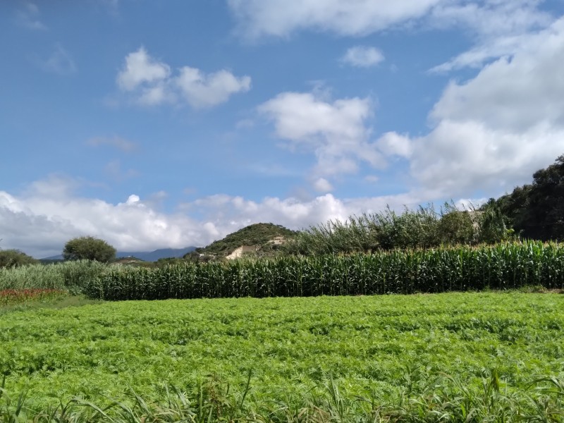 Lluvias del último año reactivan campos de la región