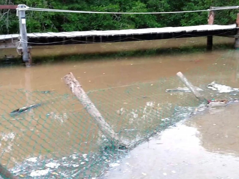 Lluvias derriban malla ciclónica en estero de La Ropa