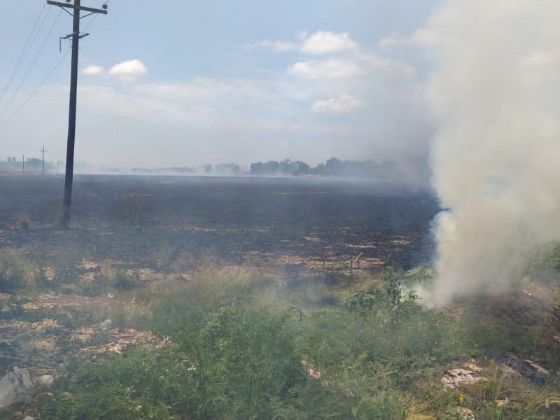 Lluvias disminuyen quema indiscriminada de soca en Angostura