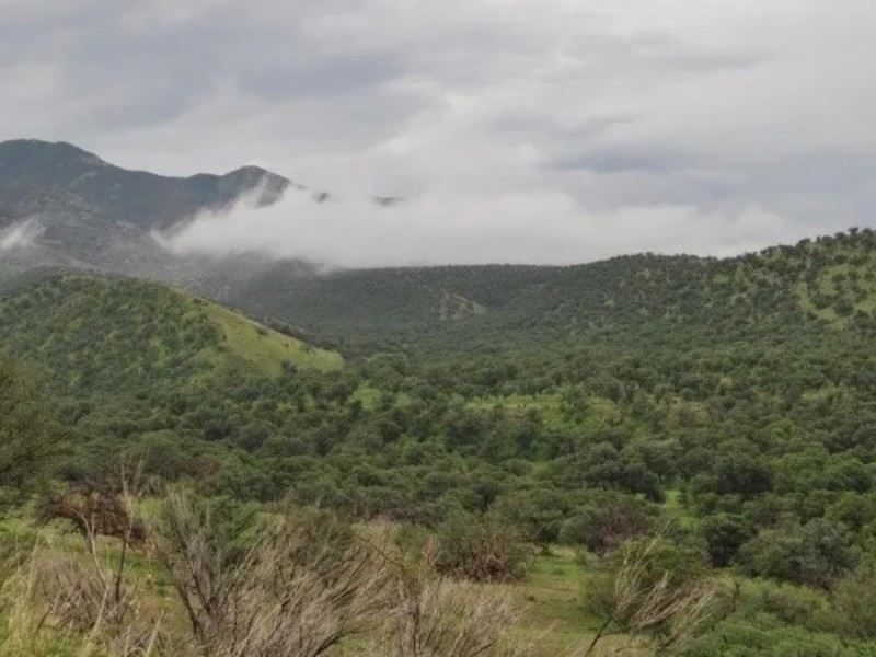 Lluvias en la sierra han ayudado a mitigar incendios forestales