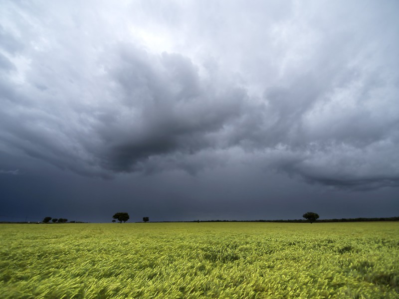 Lluvias en Sombrerete afectaron zona agrícola