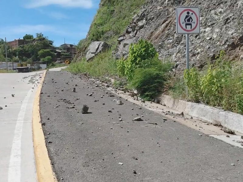 Lluvias en Zihuatanejo dejan espectacular y árboles caídos