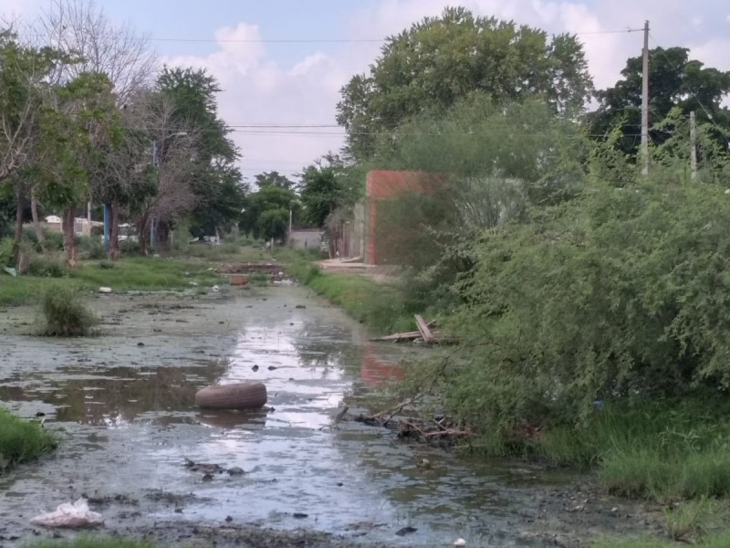 Lluvias favorecen condiciones para la reproducción del mosco del dengue