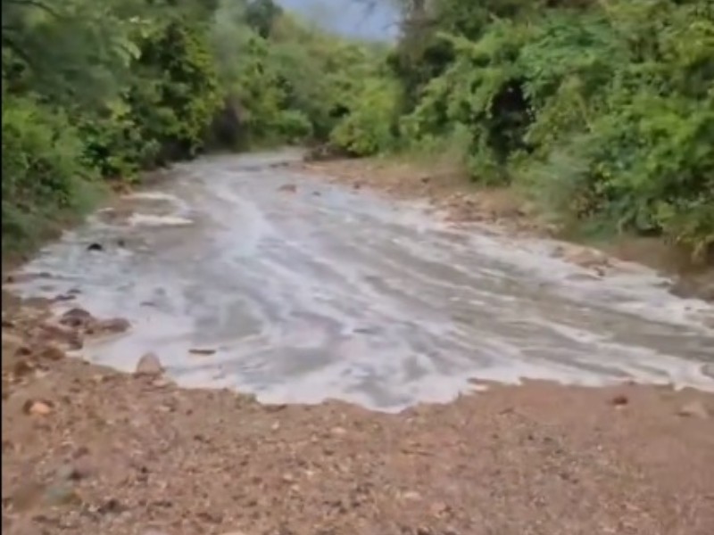 Lluvias generalizadas traen alivio a la sierra de Sonora