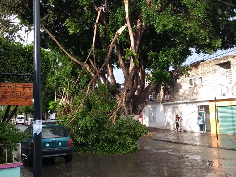 Lluvias generan daños e inundaciones en la ciudad