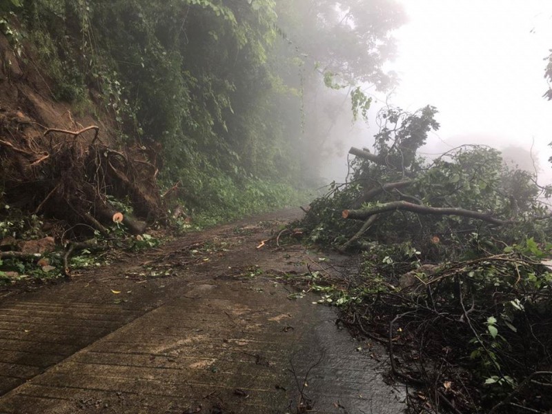 Lluvias generan derrumbes en Tapachula