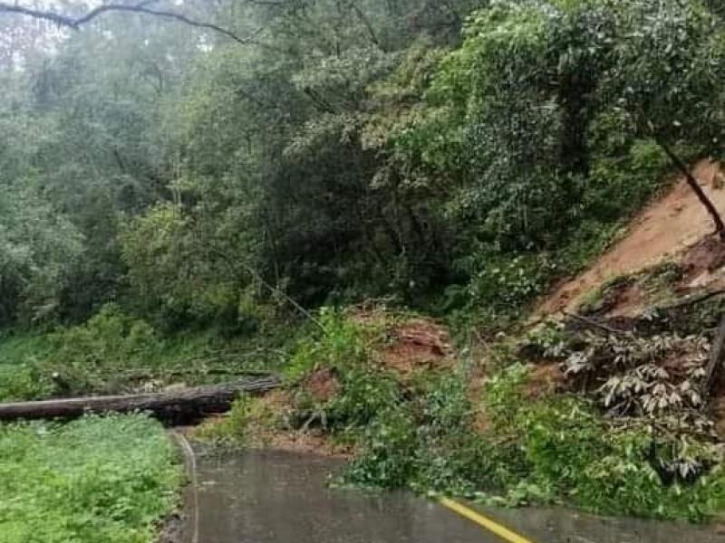 Lluvias generan derrumbes y crecientes de arroyos en Oaxaca