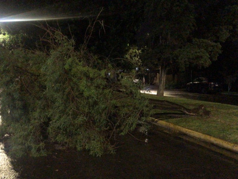 Lluvias generan inundaciones en varios puntos de Zapopan