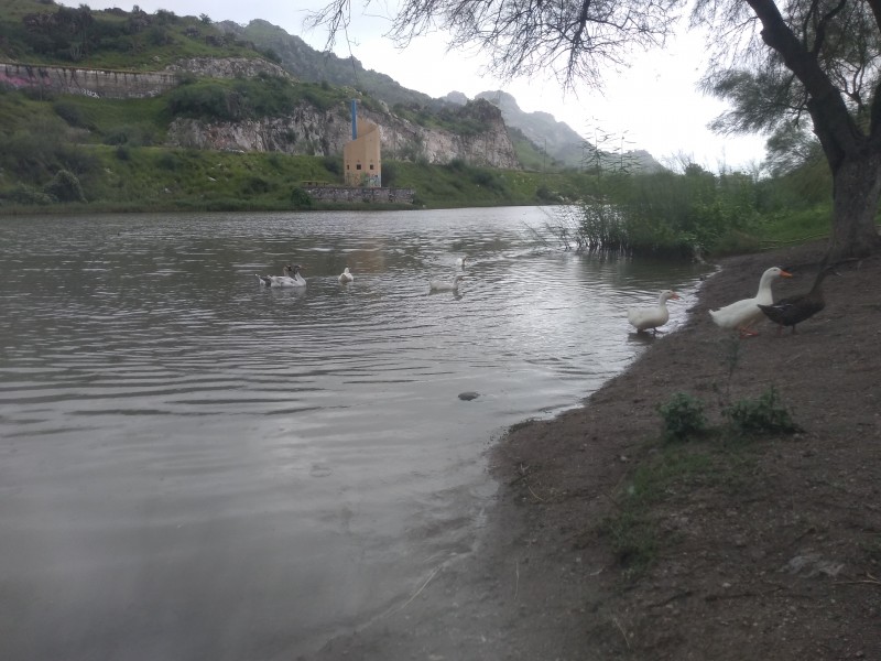 LLuvias no han favorecido a laguna La Sauceda