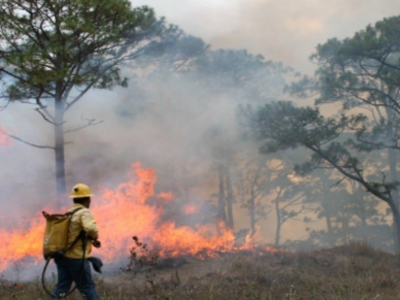 Lluvias no llegan a municipios con mayor número de incendios