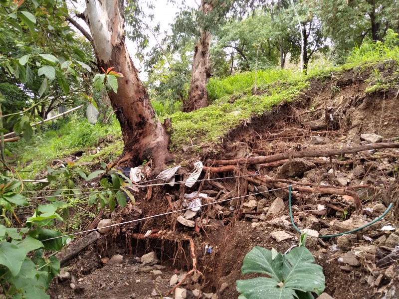 Lluvias ponen en riesgo a colonia Del Bosque