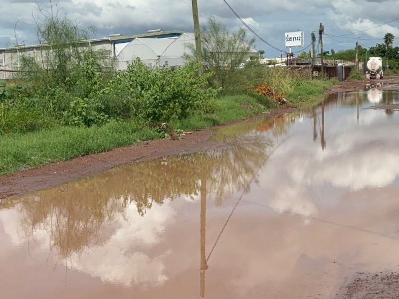 Lluvias por Raymond dejan acumulado de 104 milímetros en Ahome