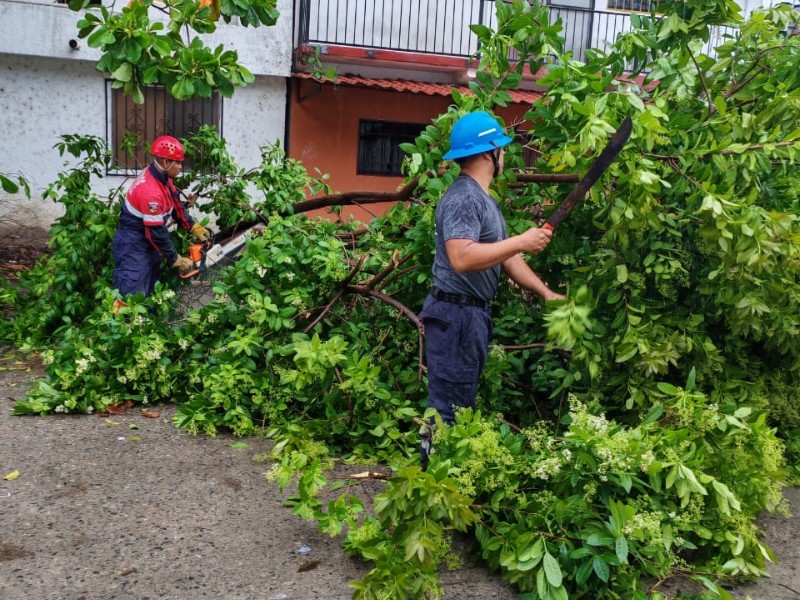 Lluvias por tormenta “Dalila” dejan afectaciones menores en Zihuatanejo